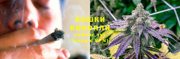 мдпв Михайлов