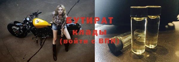 шишки Аркадак