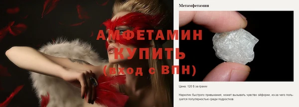 шишки Аркадак