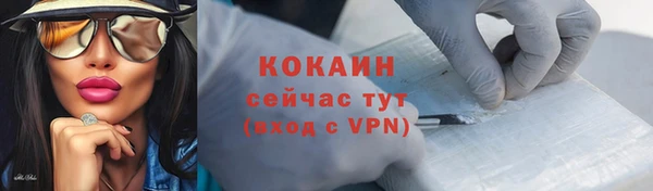 мдпв Михайлов