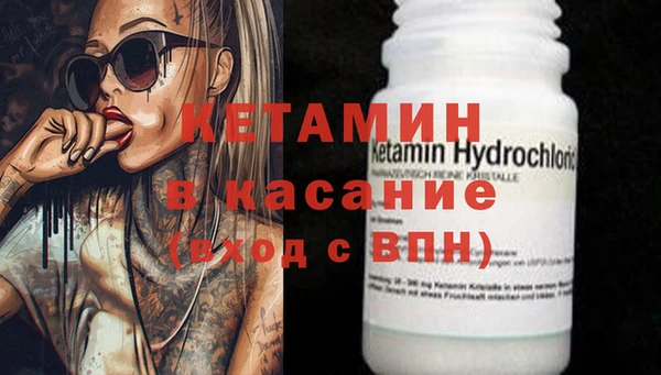 шишки Аркадак