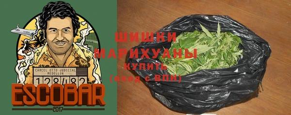 шишки Аркадак