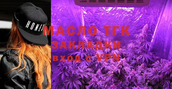 шишки Аркадак