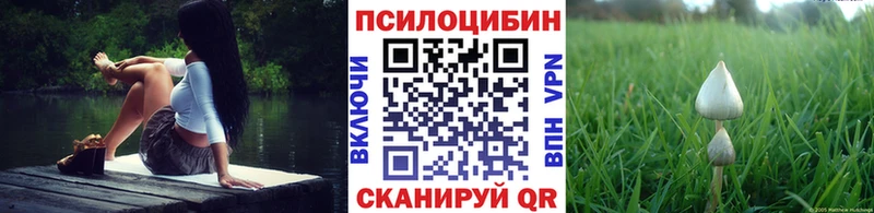 Псилоцибиновые грибы Psilocybine cubensis  Снежинск 